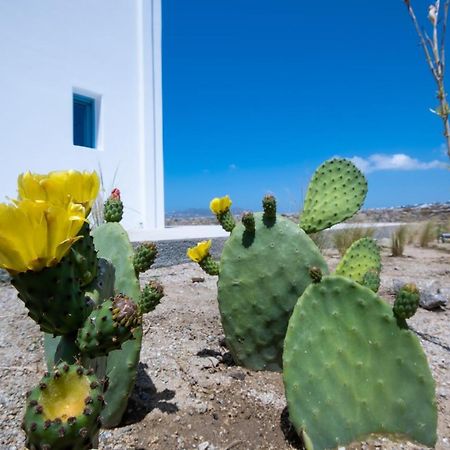 Lilly Villa By Bestofmikonos Ornos  Exteriör bild