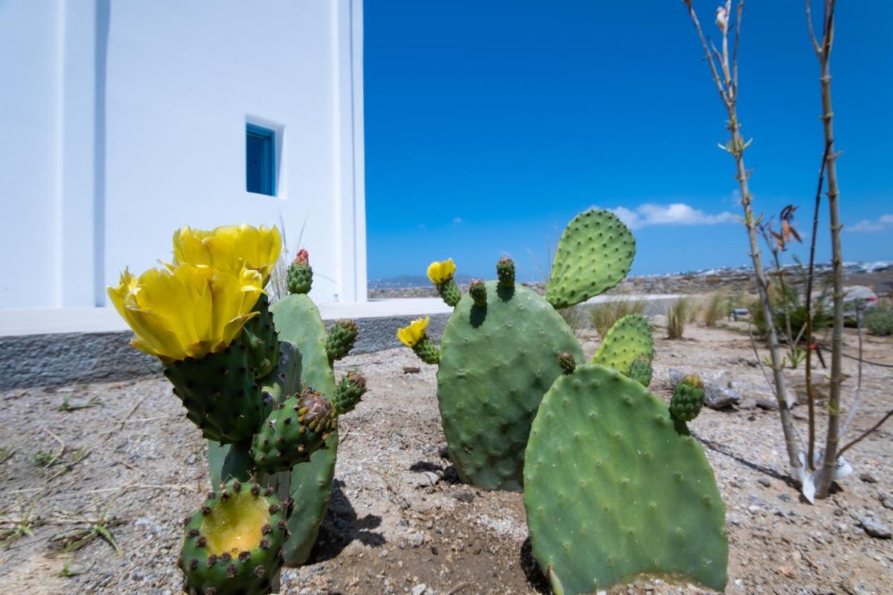 Lilly Villa By Bestofmikonos Ornos  Exteriör bild